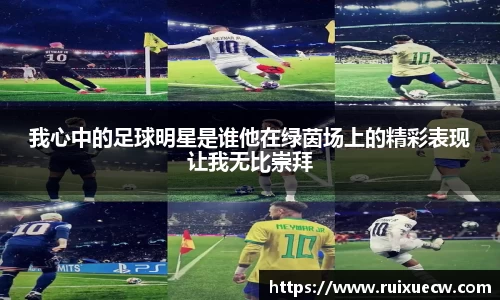 我心中的足球明星是谁他在绿茵场上的精彩表现让我无比崇拜